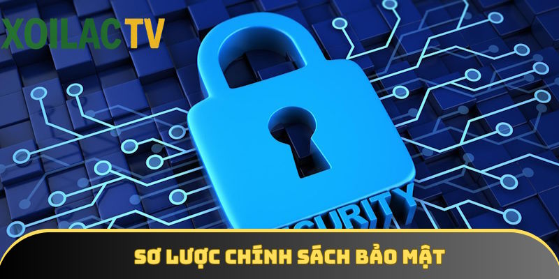 Nội dung tổng quan chính sách bảo mật