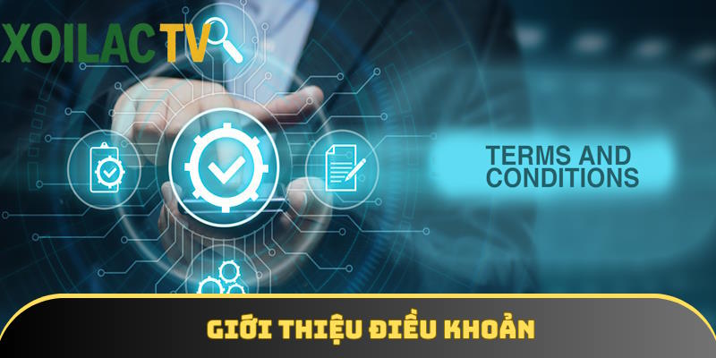 Giới thiệu chính sách điều khoản của đơn vị