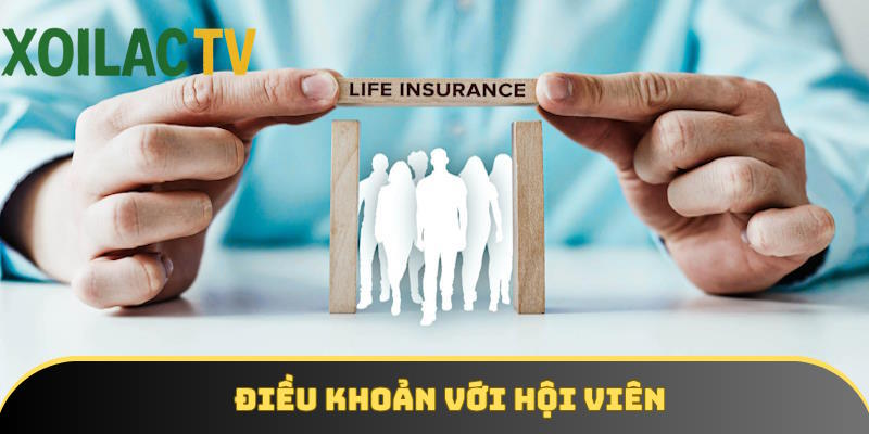 Nêu rõ điều khoản đối với hội viên của nền tảng