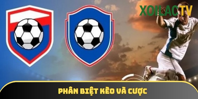 Kèo và cược là hai khái niệm khác nhau nhưng hay bị nhầm lẫn