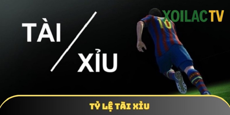 Đối với tài xỉu, người chơi không cần để ý xem bên nào thắng chung cuộc