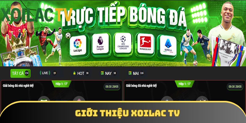 Nội dung tổng quan về trang web Xoilac TV
